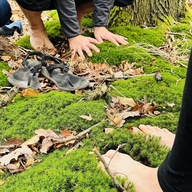 den Untergrund wahrnehmen